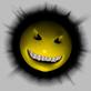������ ��� �����BROD