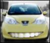 ������ ��� autobotanik