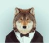 ������ ��� Strong