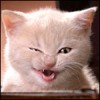 ������ ��� Trion